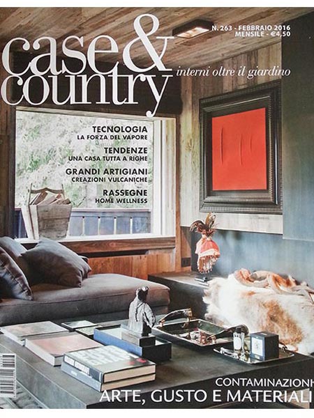 case & country february 2016